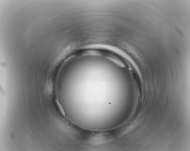 X0000091350072200708101538