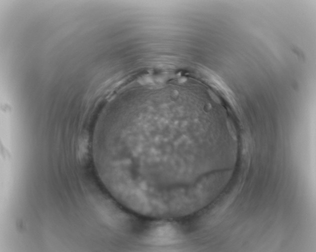 X0000091350073200708101538