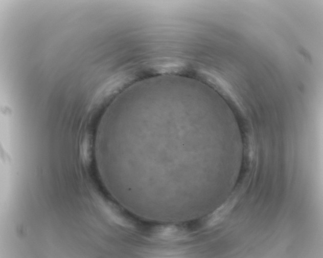 X0000091350074200708101538