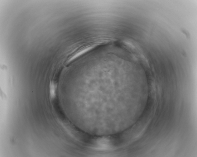 X0000091350075200708101538