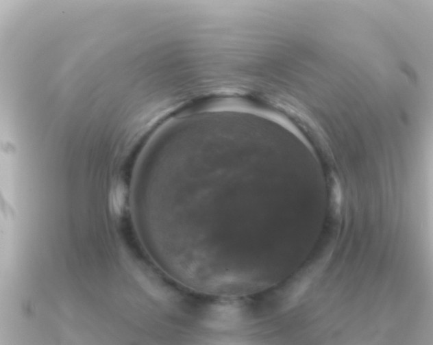 X0000091350076200708101538