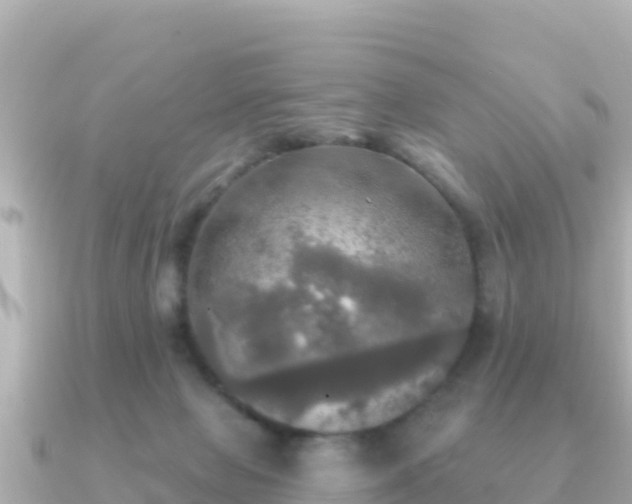 X0000091350077200708101538