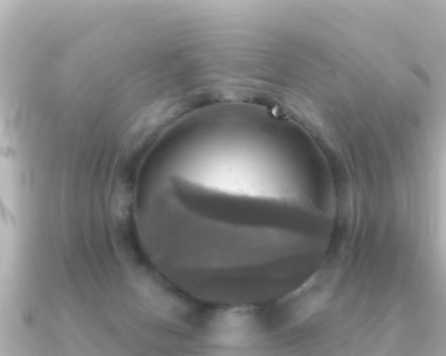 X0000091350078200708101538