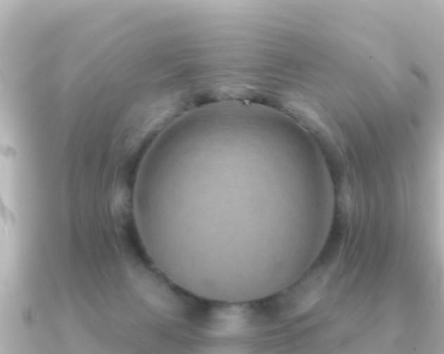 X0000091350079200708101538