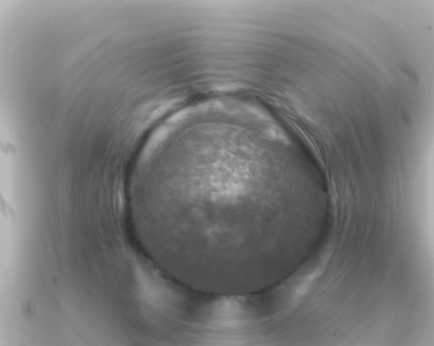 X0000091350080200708101538