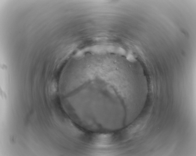 X0000091350081200708101539