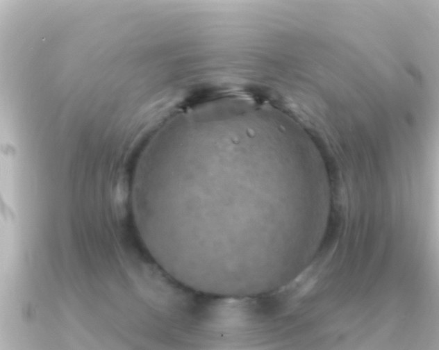 X0000091350082200708101539