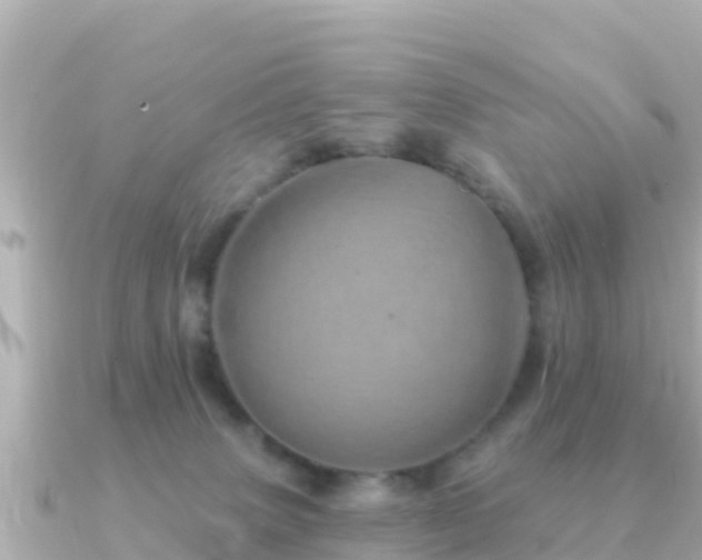 X0000091350083200708101539
