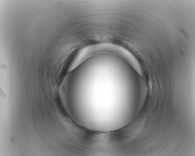 X0000091350084200708101539