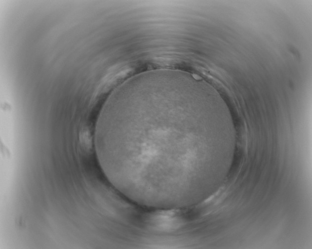 X0000091350086200708101539