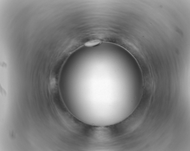 X0000091350087200708101539