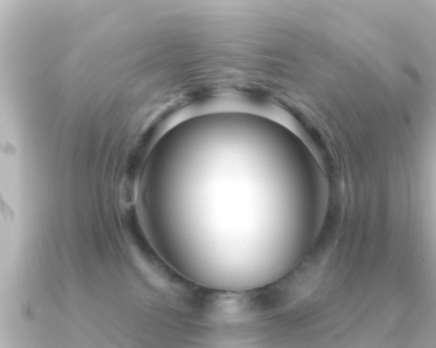 X0000091350088200708101539