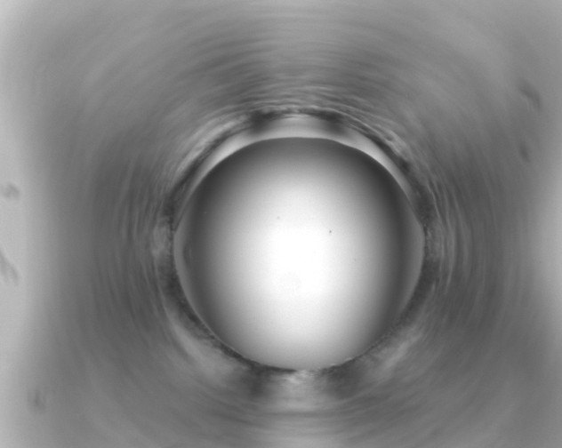 X0000091350092200708101539