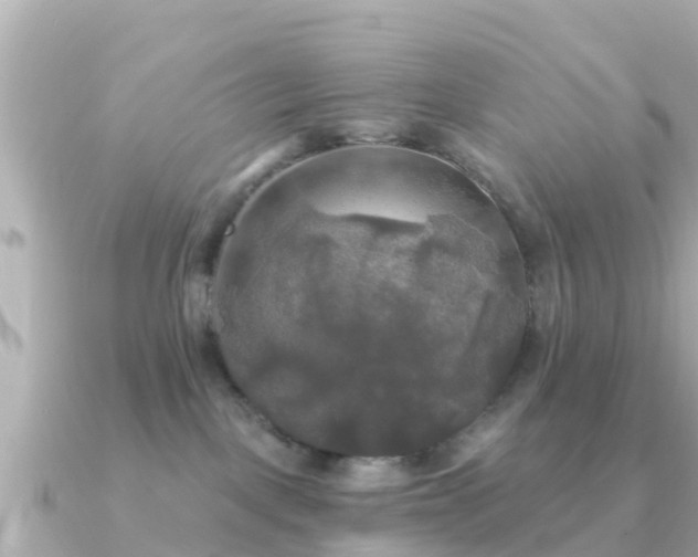 X0000091350093200708101539