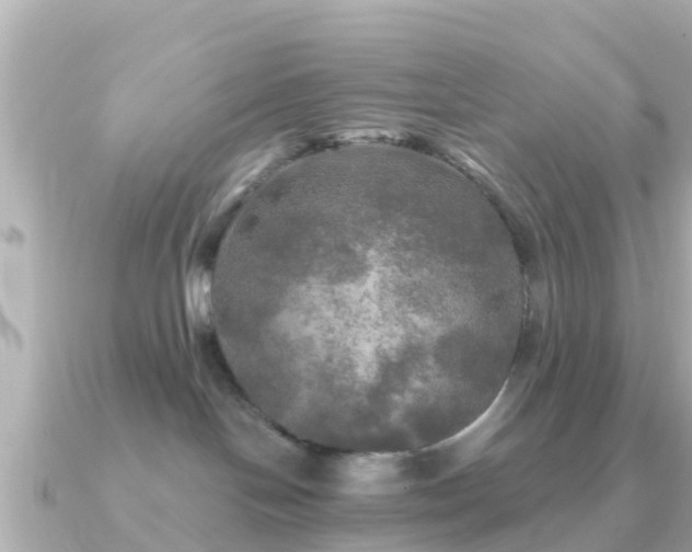 X0000091350094200708101539
