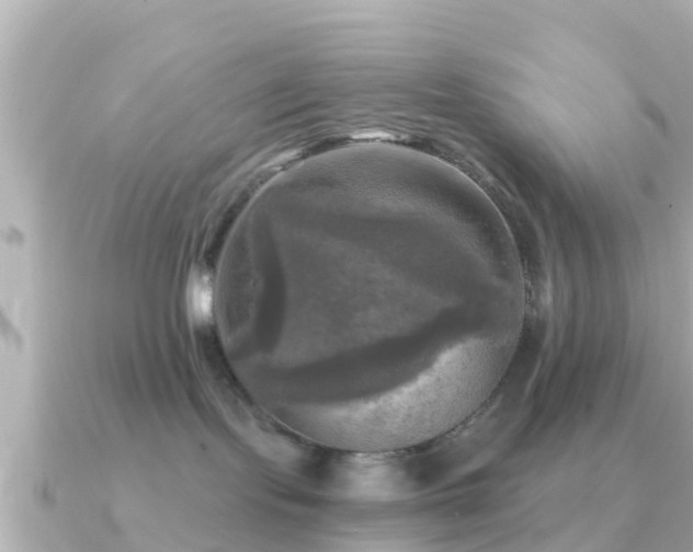 X0000091350095200708101539