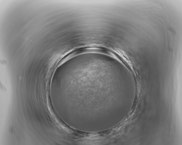X0000091350097200708101538