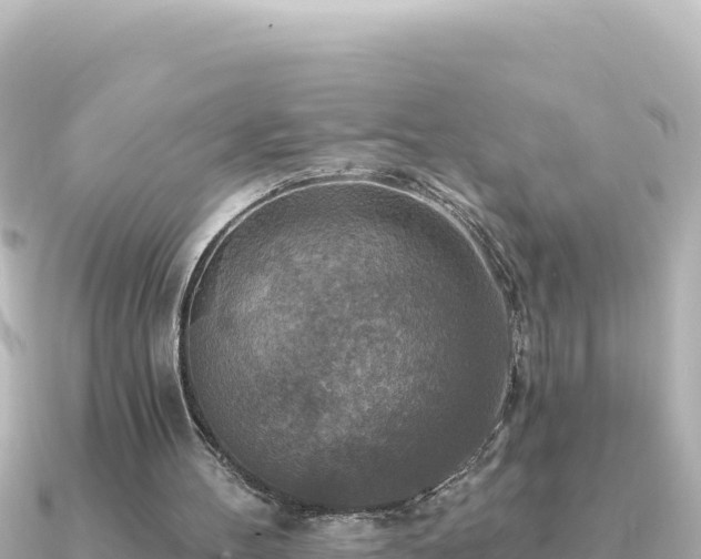 X0000091350100200708101538