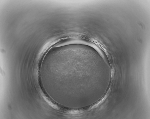 X0000091350101200708101538