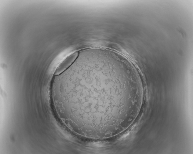 X0000091350103200708101538