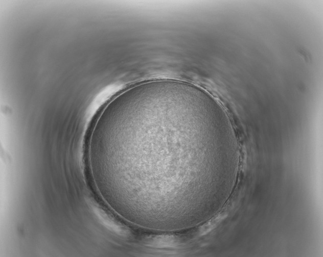 X0000091350104200708101538