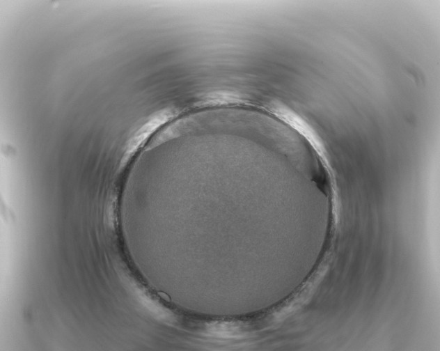 X0000091350105200708101538