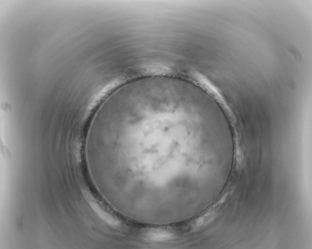 X0000091350106200708101538