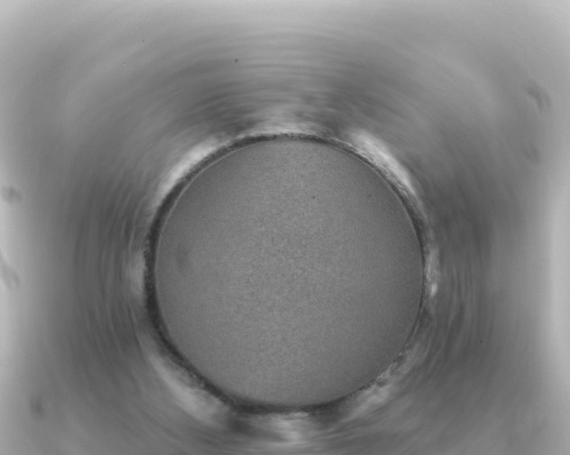 X0000091350108200708101538