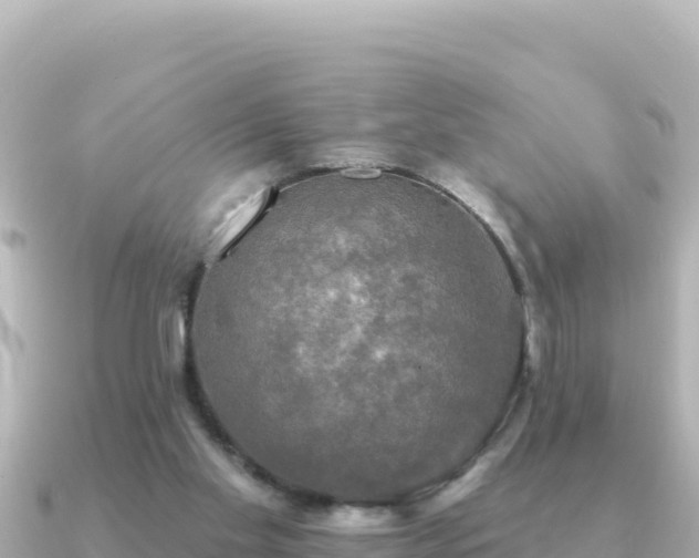X0000091350109200708101538