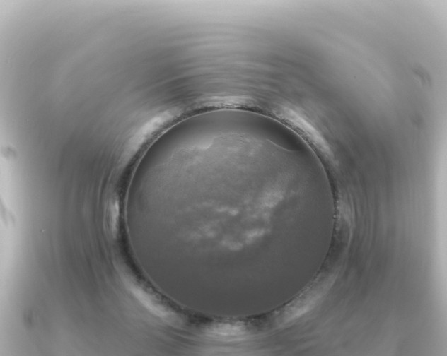 X0000091350110200708101538