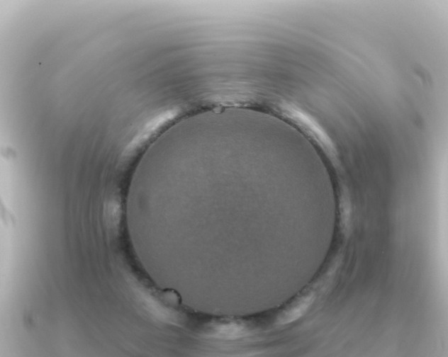 X0000091350113200708101538