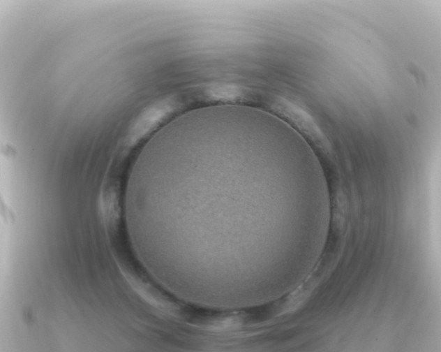 X0000091350116200708101538