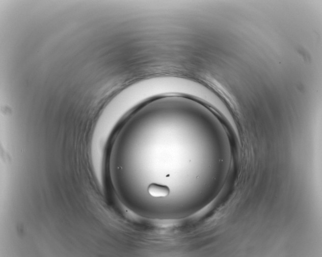 X0000091350117200708101538