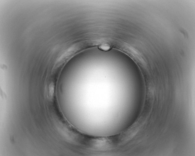 X0000091350118200708101538