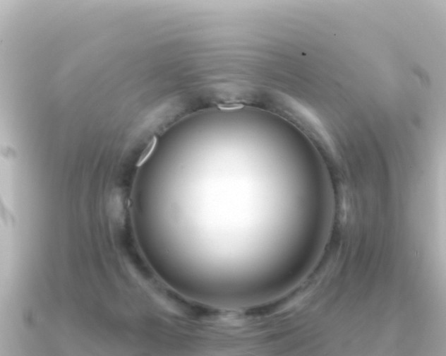 X0000091350121200708101538