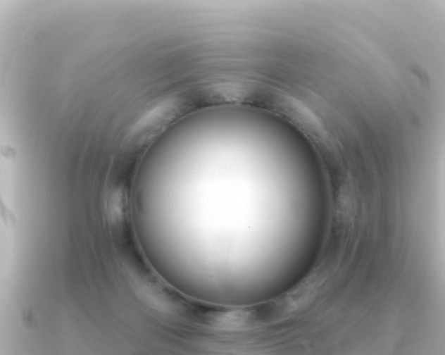 X0000091350122200708101538
