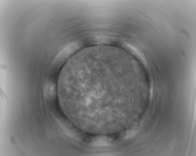 X0000091350123200708101538