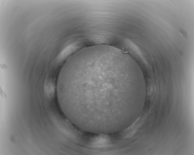 X0000091350124200708101538