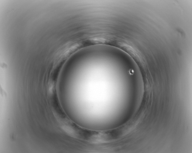 X0000091350125200708101538