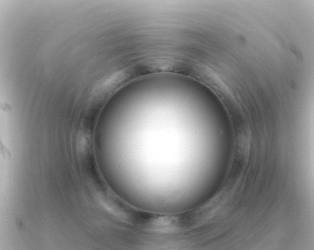 X0000091350126200708101538
