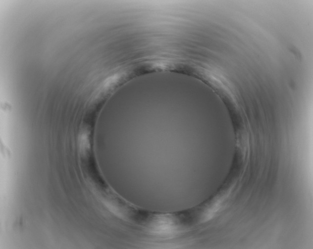 X0000091350127200708101538