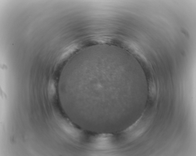 X0000091350128200708101538