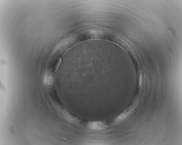 X0000091350137200708101538