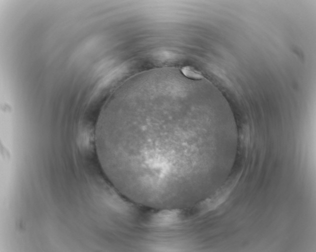 X0000091350138200708101538