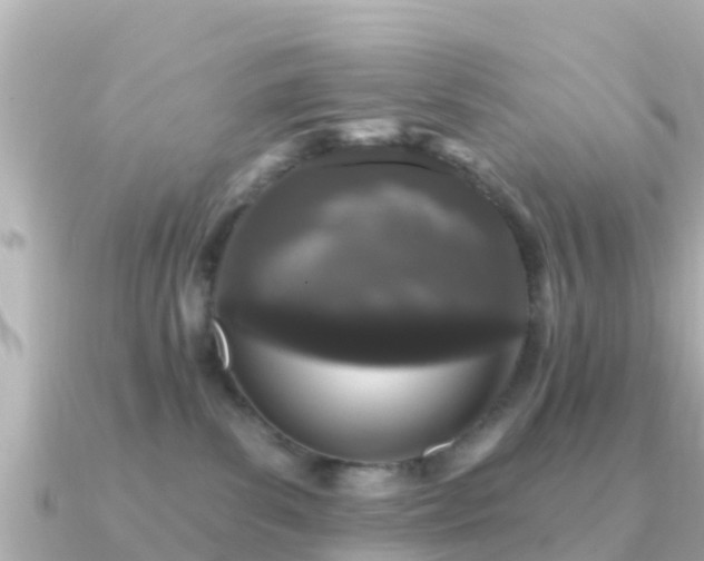 X0000091350139200708101538