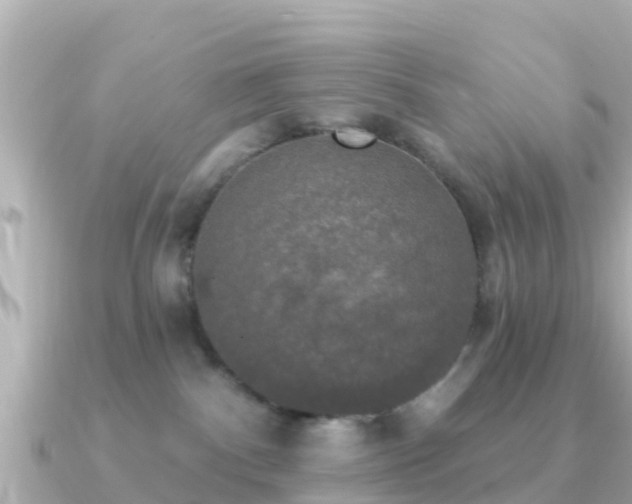 X0000091350140200708101538