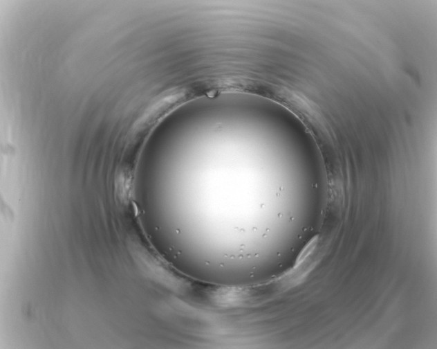 X0000091350142200708101537