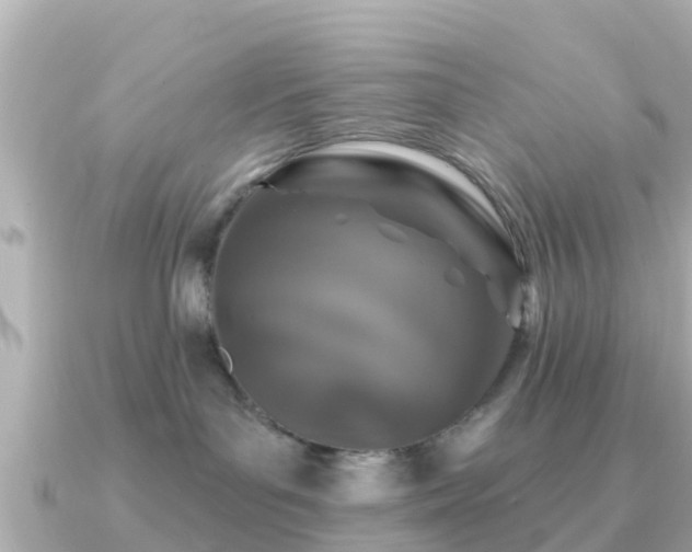 X0000091350143200708101537