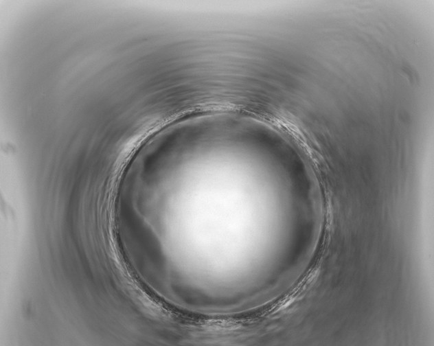X0000091350145200708101537