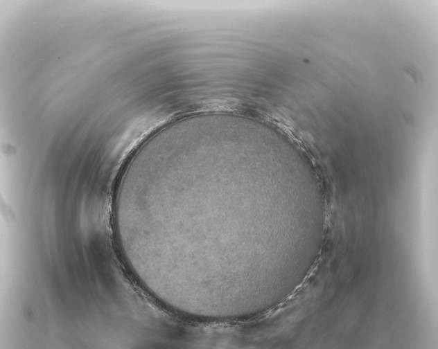X0000091350146200708101537